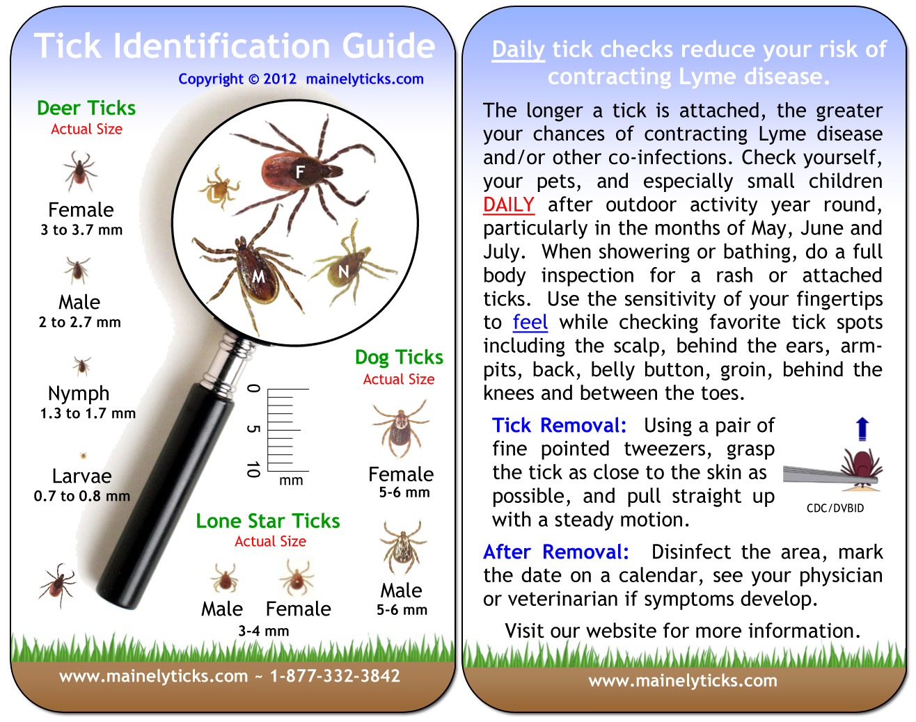 warmer-weather-is-finally-here-and-so-are-the-ticks-is-your-family-protected